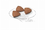 ROYAL CANIN CHAT INTERIEUR 7 LBS