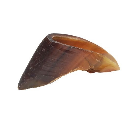 SABOT DE VACHE (1 UNITÉ)