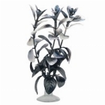 MARINA BETTA PLANTE DÉCORATIVE LUDWIGIA 5PO