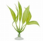 MARINA BETTA PLANTE DÉCORATIVE 5PO