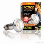 EXOTERRA AMPOULE INTENSE POUR LÉZARDER (INTENSE BASKING SPOT) 75W
