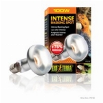 EXOTERRA AMPOULE INTENSE POUR LÉZARDER (INTENSE BASKING SPOT) 100W