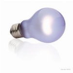EXOTERRA AMPOULE INFRAROUGE À LUMIÈRE DU JOUR (DAYTIME HEAT LAMP) 60W