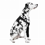 SUITICAL MANCHON DE PROTECTION POUR CHIEN LG NOIR