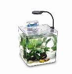 NUBIOS RÉSERVOIR DE BETTA CARRÉ SMALL 1.32 GALLONS