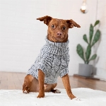 GFPET GILET DE LAINE POUR CHIEN SMALL