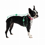 GFPET GILET DE LAINE POUR CHIEN SMALL