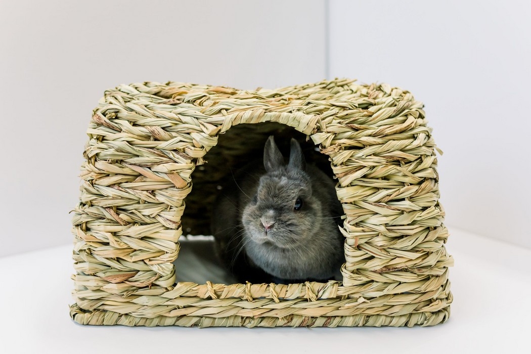 LES PETITS LAPINS D'AMOUR-CABANE DE FOIN (Hauteur – 24 cm / Longueur – 40 cm / Largeur – 29 cm)