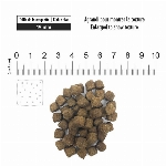 1ST CHOICE CHIEN-  TOUTES RACES SANTÉ DENTAIRE 4.4LBS