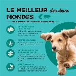 ACANA GRAINS SANTÉ CHIOT MER ET CHAMPS 10.2KG