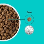 ACANA GRAINS SANTÉ CHIOT MER ET CHAMPS 10.2KG