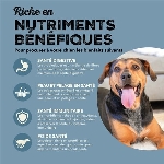 ACANA CHIEN GRAINS SANTÉ MER ET RIVIÈRE 10.2KG