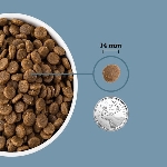 ACANA CHIEN GRAINS SANTÉ MER ET RIVIÈRE 10.2KG