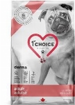 1ST CHOICE CHIEN TOUTES RACES DERMA SAUMON 12KG
