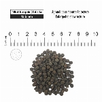 1ST CHOICE CHIEN TOUTES RACES DERMA SAUMON 12KG
