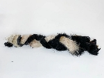 TRESSE DE PEAU DE BOEUF POILU 12 POUCES (1 UNITÉ)