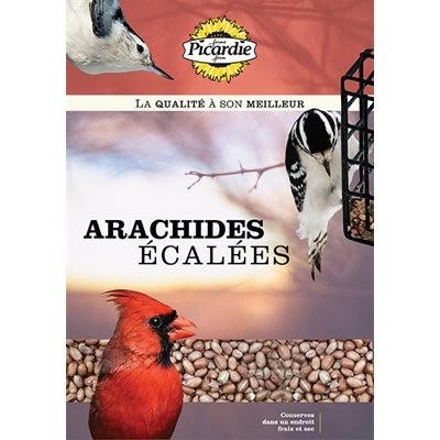 PICARDIE ARACHIDES ÉCALÉES 10KG
