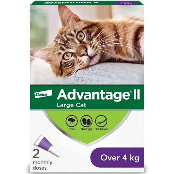 ADVANTAGE II TRAITEMENT CONTRE LES PUCES POUR CHAT +4KG (2 DOSES)